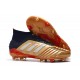 Crampons de Football Adidas Predator 19.1 FG Or Argent Noir