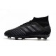 Crampons de Football Adidas Predator 19.1 FG Noir