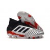 Crampons de Football Adidas Predator 19.1 FG Argent Noir