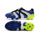 Adidas - Chaussures Football Predator Accelerator FG Bleu Blanc Vert