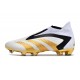 Crampons adidas Predator Accuracy + FG Blanc Or Noir