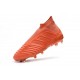 Chaussures adidas - Crampons Foot Adidas Paul Pogba Predator 18+ FG Rose