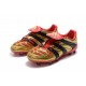 Adidas - Chaussures Football Predator Accelerator Electricity FG